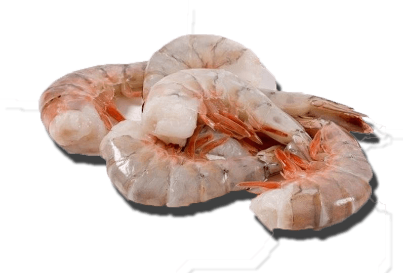 Shrimp - Gulf Shrimp