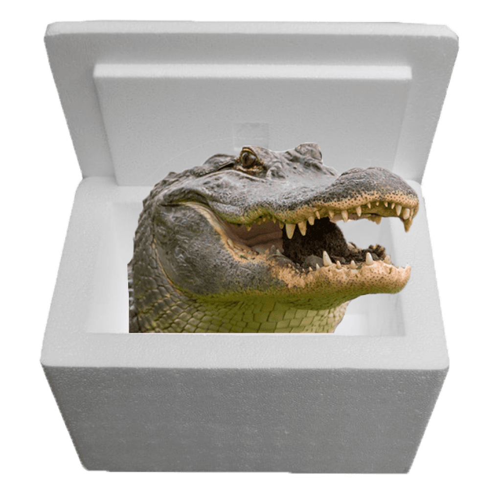 Louisiana Alligator Sampler Cooler
