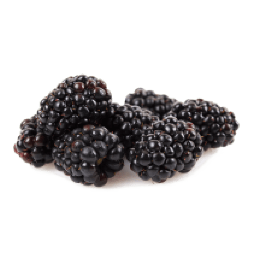 Ole Homestead - Blackberry Pepper Jelly 12 oz