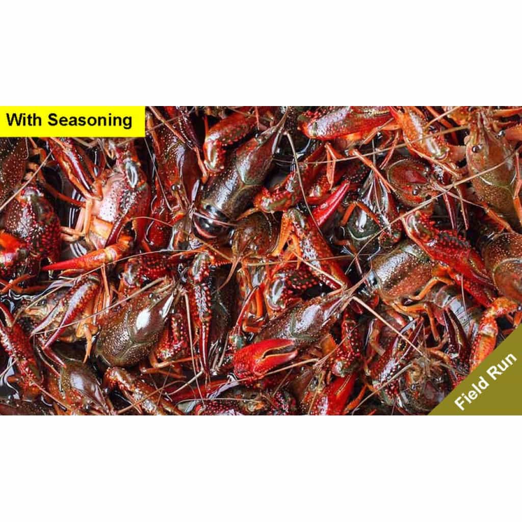 60 lbs Field Run Live Crawfish Delivery with Seasoning