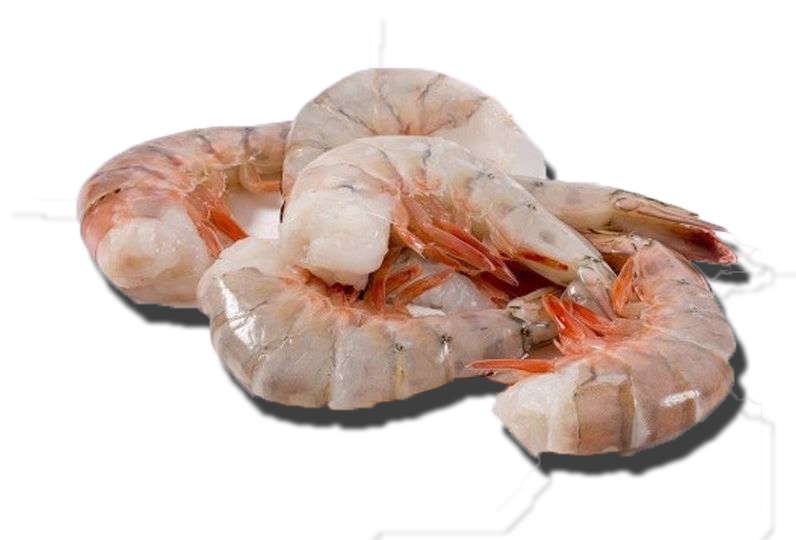 Shrimp - Gulf Shrimp
